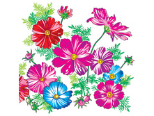 �������� �������� ����� ����������� 100�. ��������� �������� 22,50.jpg