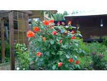 WP 20170709 10 31 21 Pro.jpg