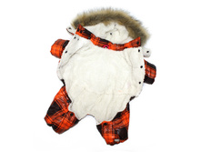 10925-2 ���������� 'Lim-Strip' ����� 2.jpg