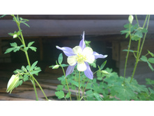 WP 20170626 12 45 59 Pro.jpg