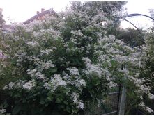 �������� ������