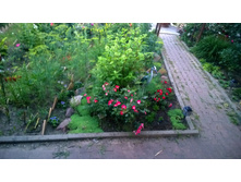 WP 20170719 20 56 08 Pro  highres.jpg