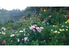 WP 20170728 20 29 48 Pro  highres.jpg