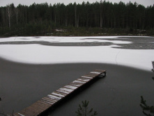 IMG 8097.JPG