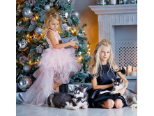 ���� ���������