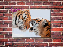 04593 ������� "��������" 60*40