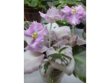 �-���������