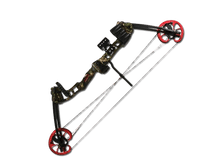 ��� ������� Barnett Vortex Hunter (������, �������, �����) ����������� ������ ��������� 9600 ���. ������ 10550 ���. � ������� ������ �� 14500 ���. ����� ��� �� 19000 ���..