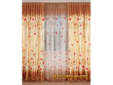 �������-��������� - 1710 ���