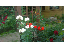 WP 20170730 10 42 34 Pro  highres.jpg