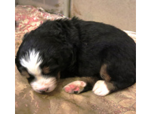 ����.� ����� 021.JPG