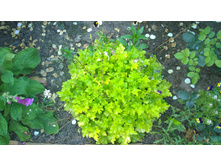 WP 20170811 16 50 32 Pro.jpg