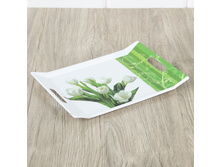 ������ ������������� 30�21�2 �� "�����", ����� ���� �����; 30 �� × 21 �� × 2 ��; �������; � ����� 68 ��. ���.: 2602696