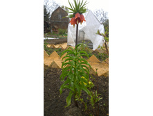 WP 20170508 11 50 53 Pro.jpg