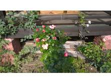 WP 20170914 10 06 07 Pro.jpg