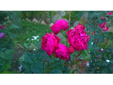 WP 20170728 20 25 12 Pro.jpg