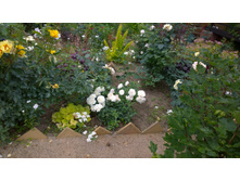 WP 20170721 09 16 15 Pro  highres.jpg