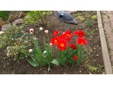 WP 20170527 09 47 04 Pro  highres.jpg