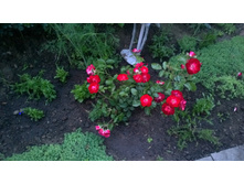 WP 20170719 20 56 39 Pro  highres.jpg