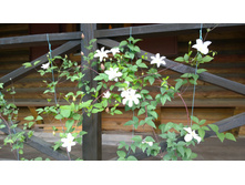 WP 20170721 09 24 34 Pro.jpg