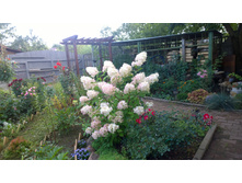 WP 20170903 15 02 38 Pro  highres.jpg