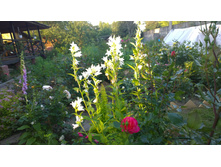 WP 20170716 18 47 19 Pro.jpg