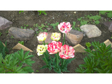 WP 20170527 09 45 50 Pro  highres.jpg