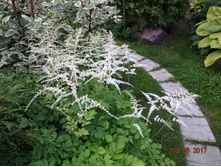 DSC03933.JPG