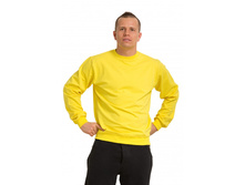 ������ ��������� ��� ��������