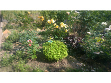 WP 20170820 12 30 43 Pro.jpg