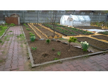 WP 20170508 11 38 35 Pro.jpg