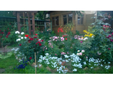 WP 20170728 20 28 40 Pro.jpg