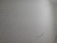 P70413-213905.jpg