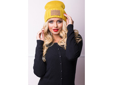 17001 �������