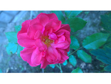 WP 20170811 16 29 08 Pro.jpg