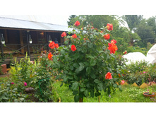 WP 20170706 16 20 39 Pro.jpg