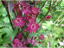 ��������� ������