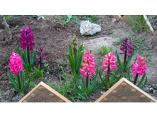 WP 20170504 19 43 52 Pro.jpg