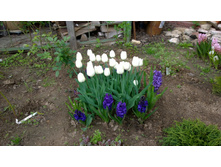 WP 20170527 09 47 37 Pro  highres.jpg