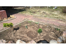 WP 20170423 13 12 10 Pro.jpg