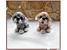 �������� ����� �������, 120 ���