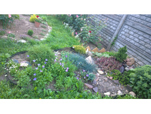 WP 20170811 16 52 21 Pro.jpg