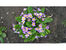 WP 20170514 16 28 11 Pro.jpg