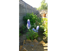 WP 20170713 09 38 45 Pro  highres.jpg