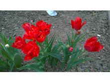 WP 20170520 19 44 33 Pro.jpg