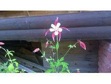 WP 20170626 12 45 50 Pro.jpg