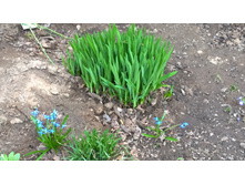 WP 20170502 18 42 35 Pro.jpg