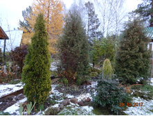 DSC04212.JPG