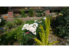 WP 20170820 09 40 29 Pro  highres.jpg