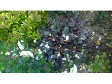 WP 20170811 16 49 45 Pro.jpg